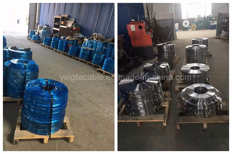 High Corrosion 316 Stainless Steel Cable Marker Plate for Cables